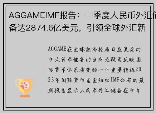 AGGAMEIMF报告：一季度人民币外汇储备达2874.6亿美元，引领全球外汇新趋势 - 副本