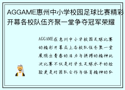 AGGAME惠州中小学校园足球比赛精彩开幕各校队伍齐聚一堂争夺冠军荣耀