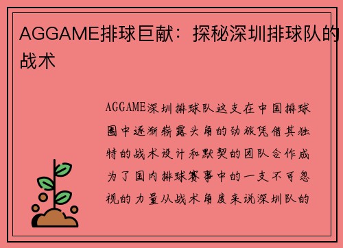 AGGAME排球巨献：探秘深圳排球队的战术