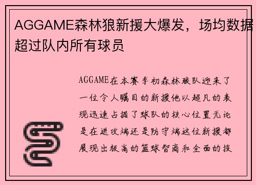 AGGAME森林狼新援大爆发，场均数据超过队内所有球员